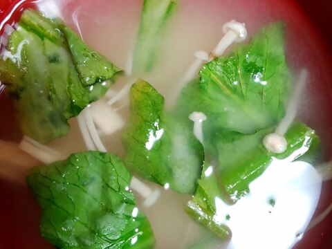 小松菜とえのき味噌汁